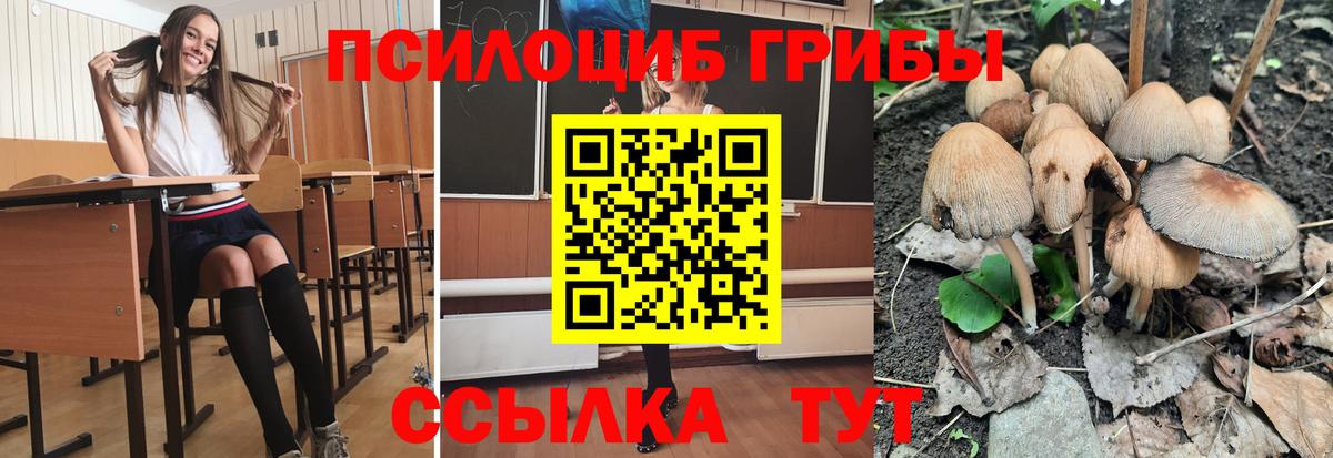 Галлюциногенные грибы GOLDEN TEACHER Ялта