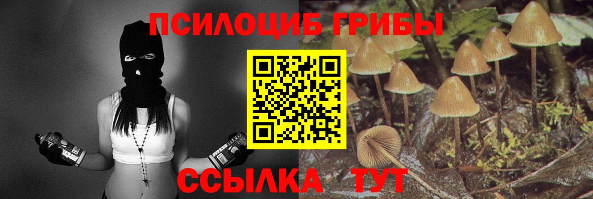 Псилоцибиновые грибы Magic Shrooms  Вход с VPN  Ялта 